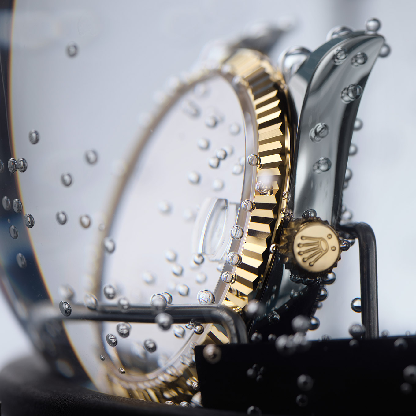 rolex-servicing-procedure-assembly-of-the-case_portrait