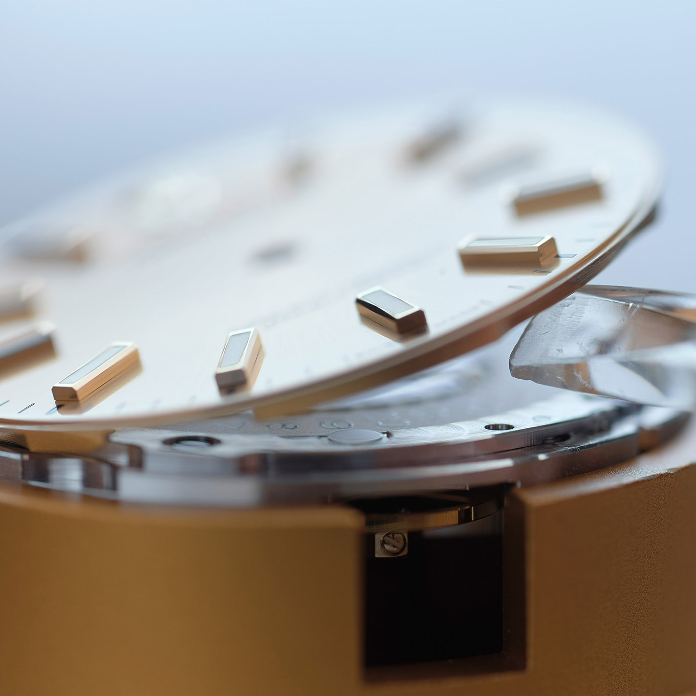 rolex-servicing-procedure-preparation-for-servicing_portrait